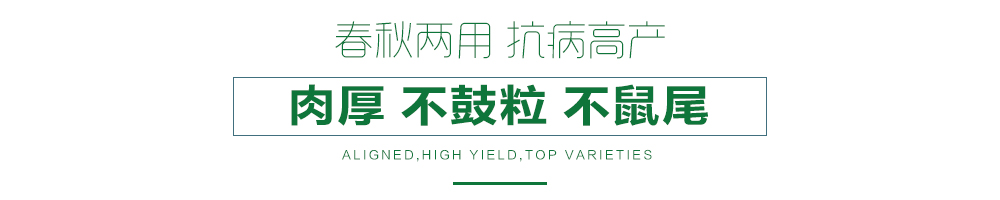 1558057525517494.jpg 詳情頁21.jpg