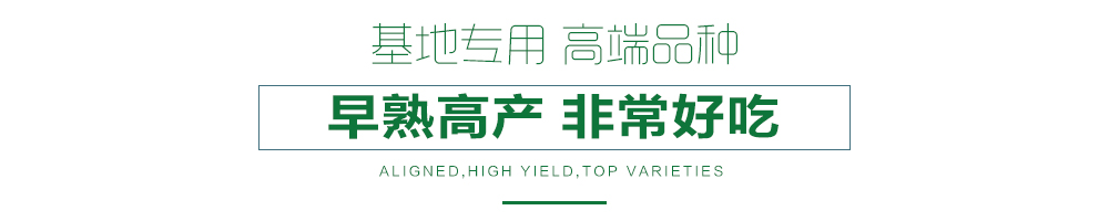 1558595734959535.jpg 詳情頁7.jpg