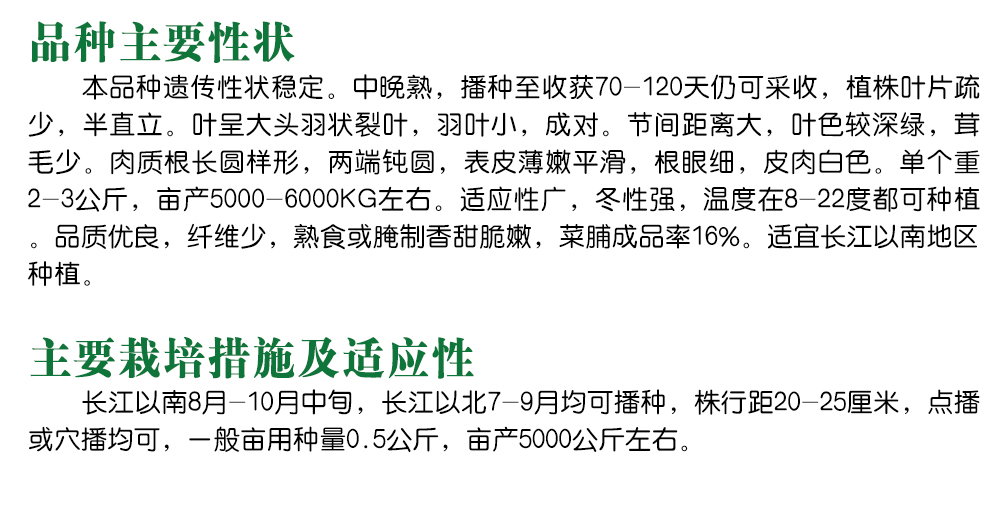 1585790207390060.jpg 10.jpg