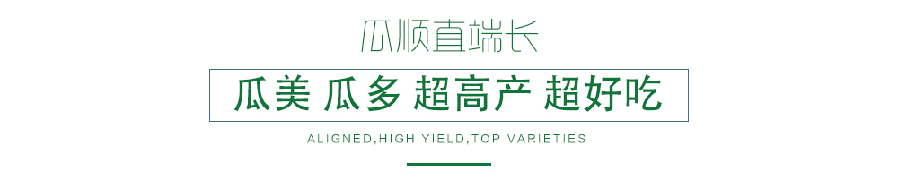 1585989633406146.jpg 03.jpg