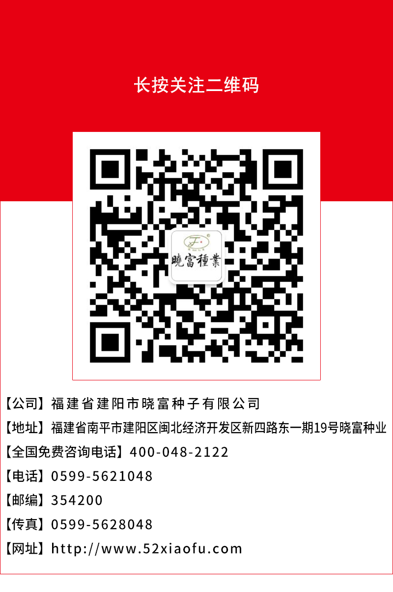 1602036835721605.jpg 頁底.jpg